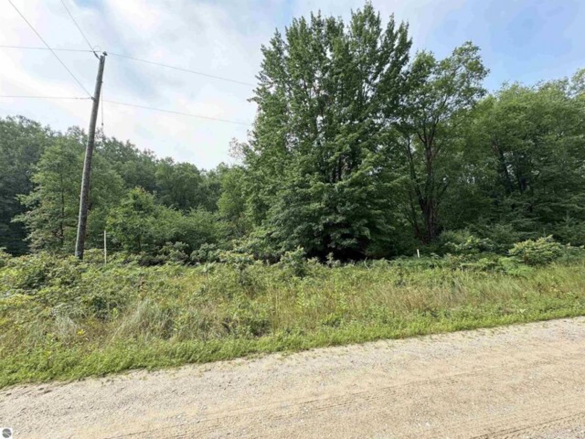 Picture of Residential Land For Sale in Kaleva, Michigan, United States