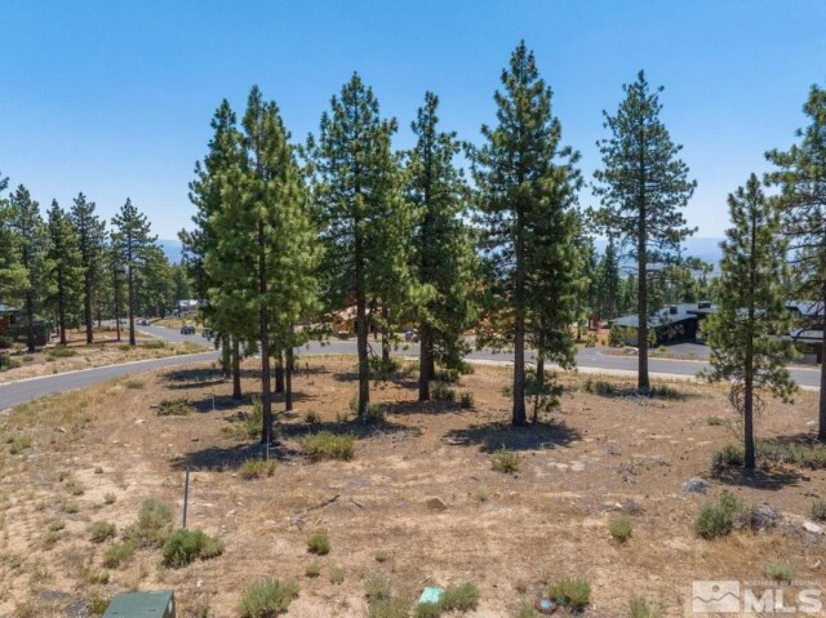 Picture of Residential Land For Sale in Carson City, Nevada, United States