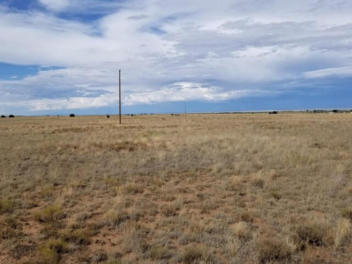 Picture of Residential Land For Sale in Estancia, New Mexico, United States