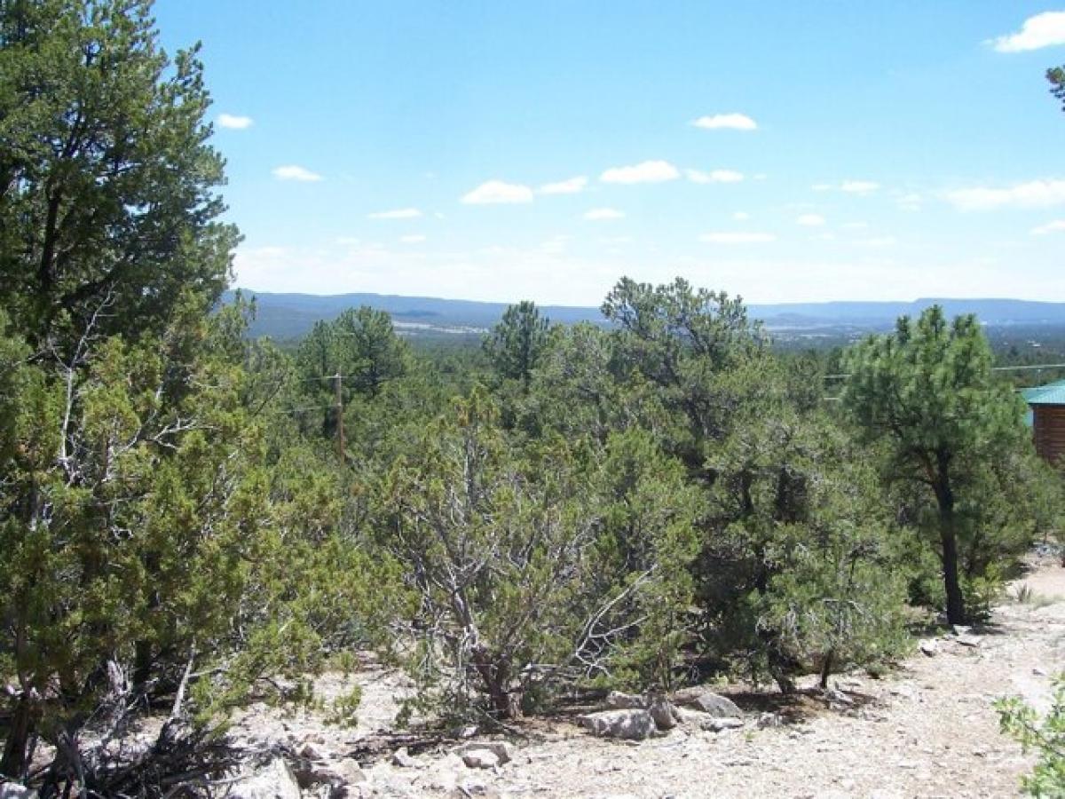 Picture of Residential Land For Sale in Pecos, New Mexico, United States