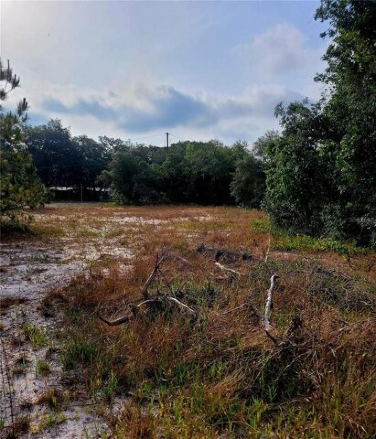 Picture of Residential Land For Sale in Davenport, Florida, United States