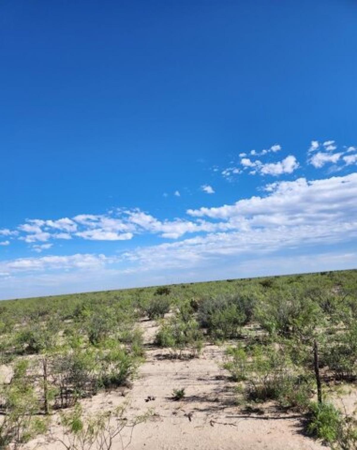 Picture of Residential Land For Sale in Imperial, Texas, United States