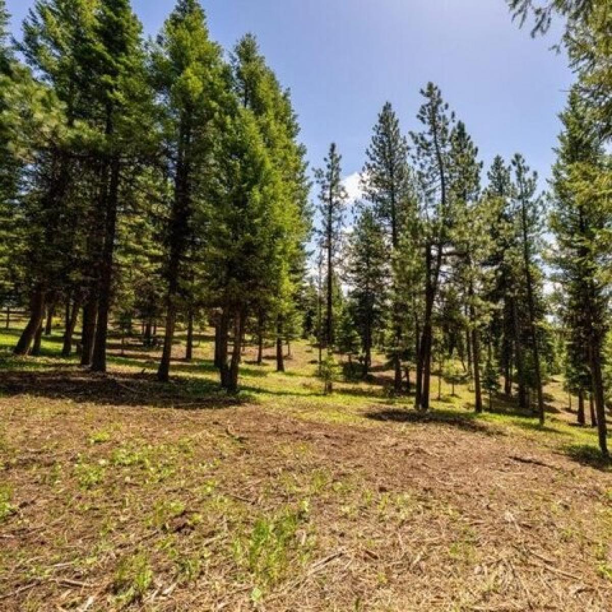 Picture of Residential Land For Sale in McCall, Idaho, United States