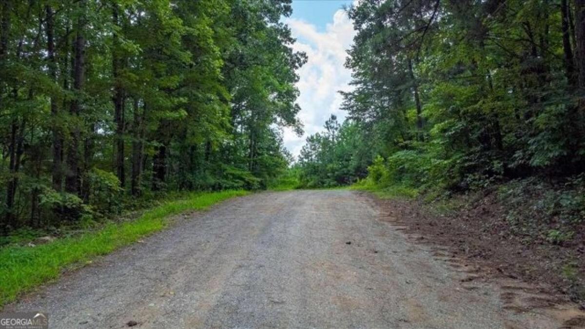 Picture of Residential Land For Sale in Cedartown, Georgia, United States