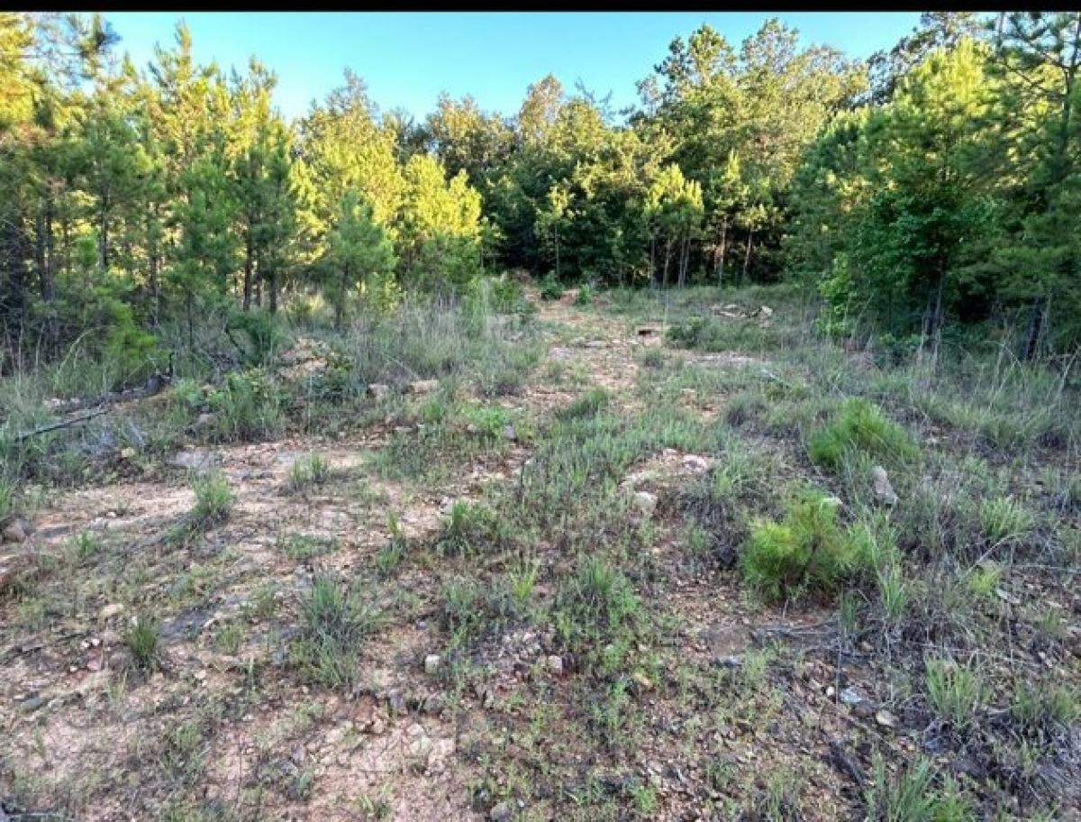 Picture of Residential Land For Sale in New Blaine, Arkansas, United States