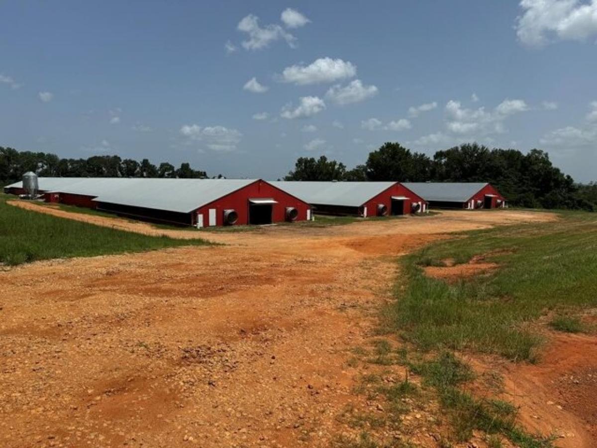 Picture of Residential Land For Sale in Banks, Alabama, United States