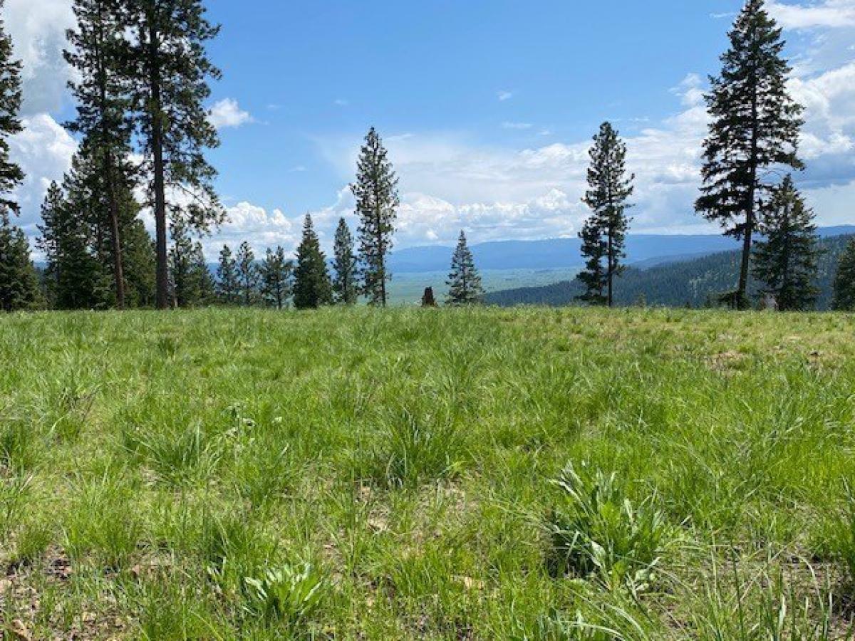 Picture of Residential Land For Sale in New Meadows, Idaho, United States