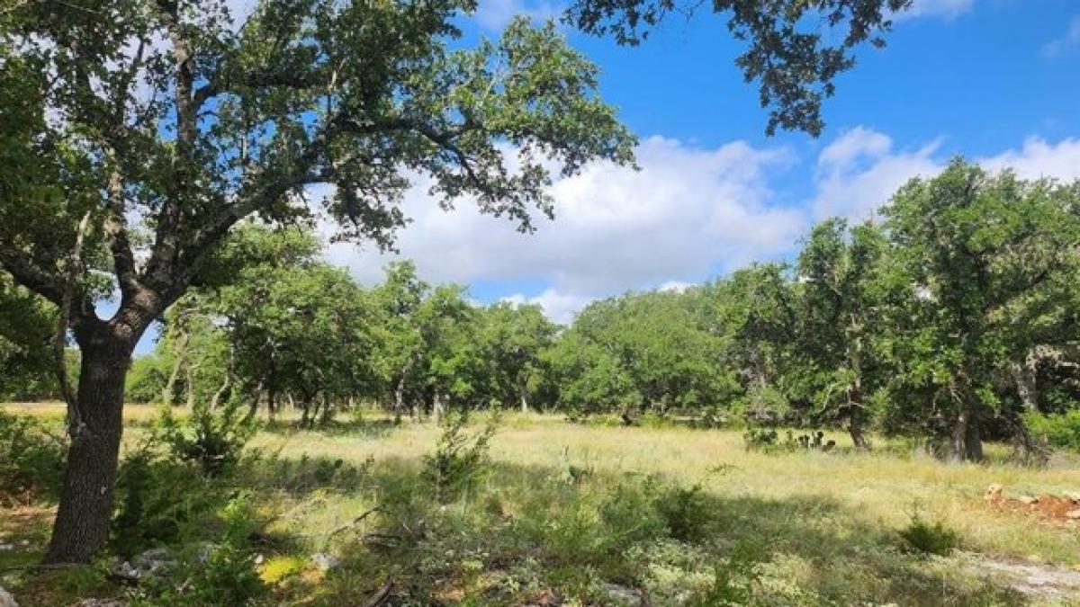 Picture of Residential Land For Sale in Florence, Texas, United States