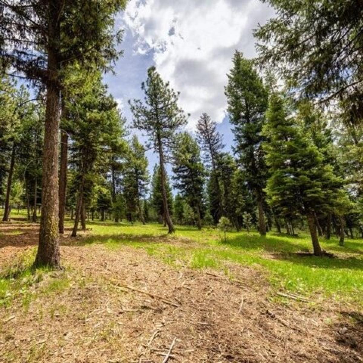 Picture of Residential Land For Sale in McCall, Idaho, United States