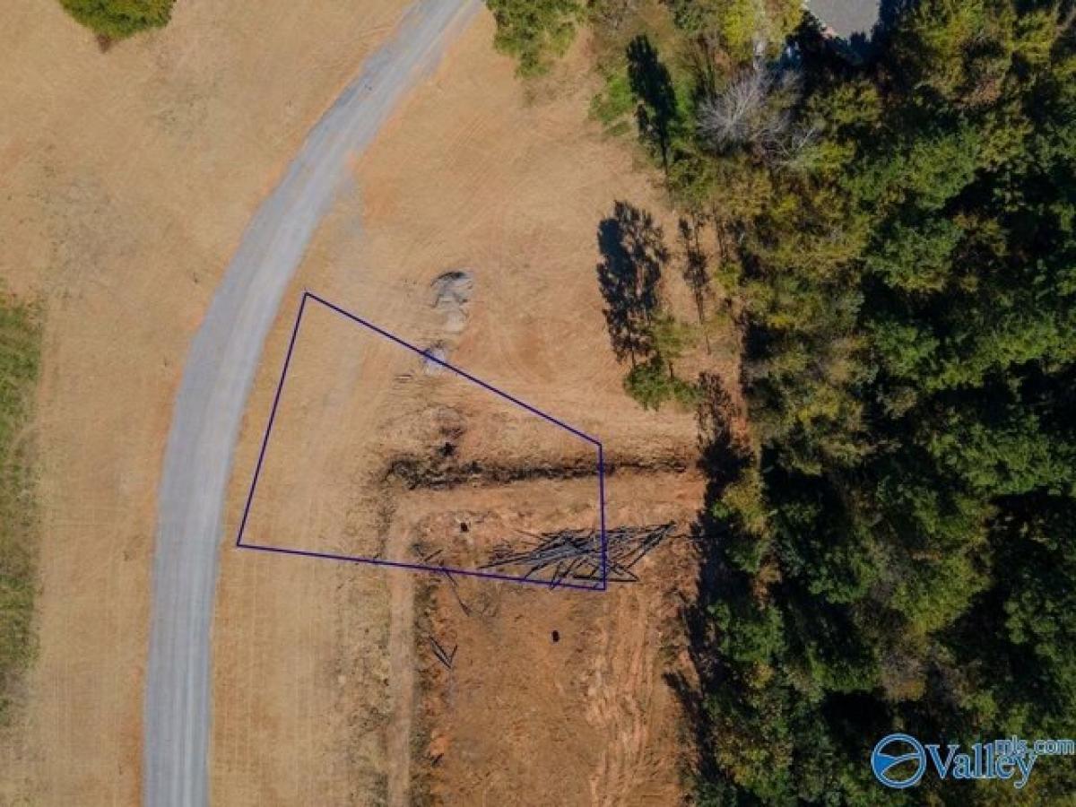 Picture of Residential Land For Sale in Guntersville, Alabama, United States