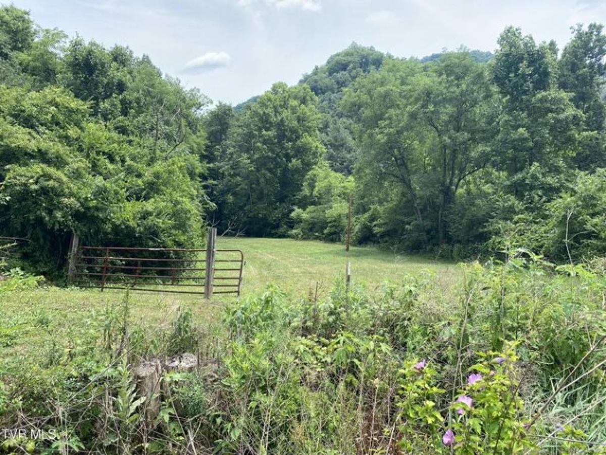 Picture of Residential Land For Sale in Vansant, Virginia, United States