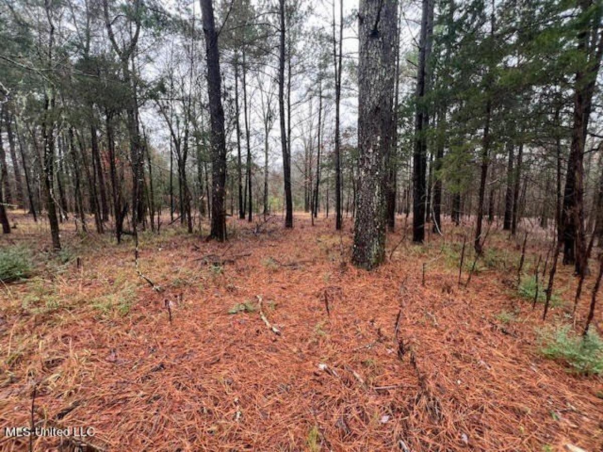 Picture of Residential Land For Sale in Byhalia, Mississippi, United States