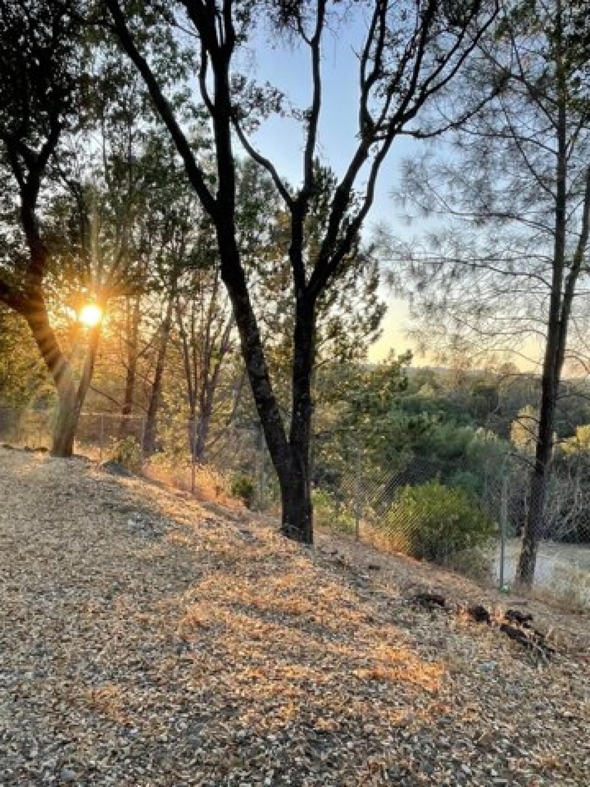 Picture of Residential Land For Sale in Penn Valley, California, United States