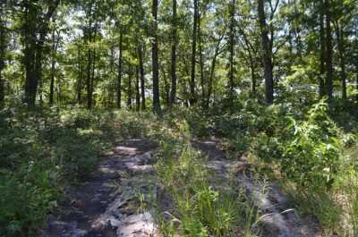 Residential Land For Sale in 