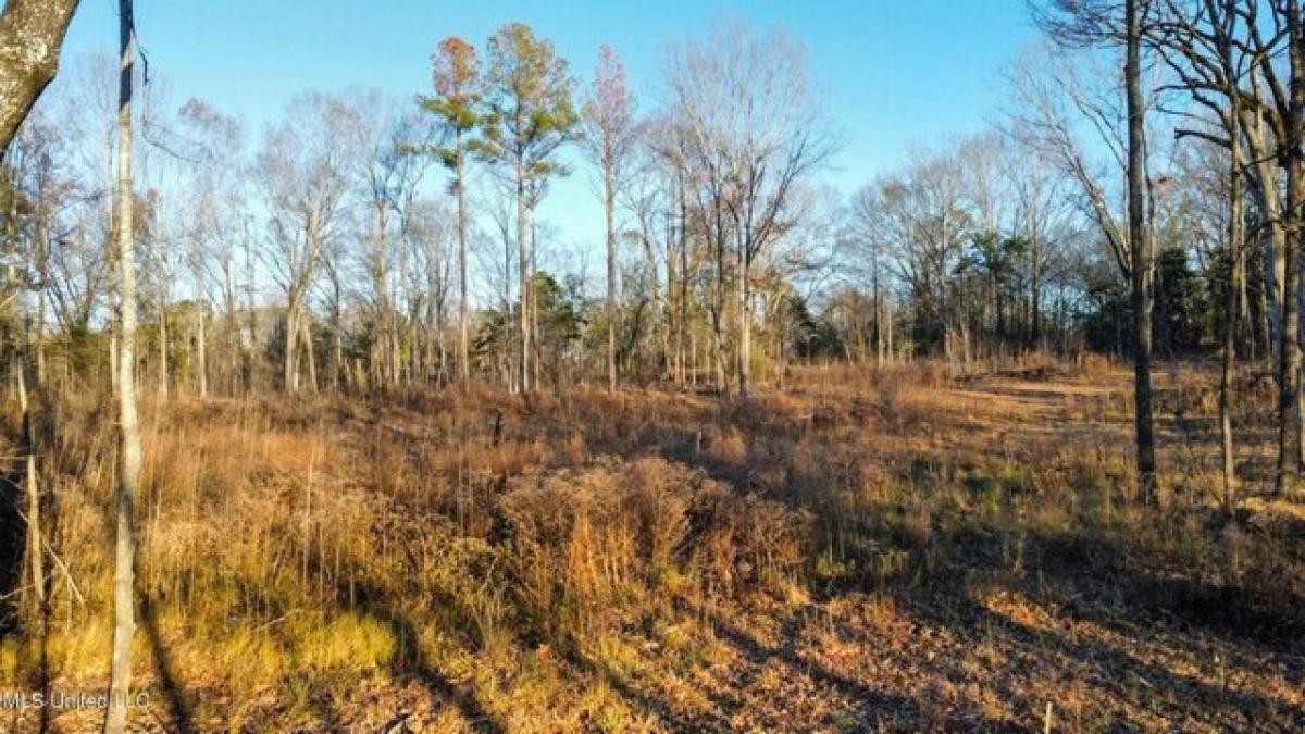 Picture of Residential Land For Sale in Jackson, Mississippi, United States