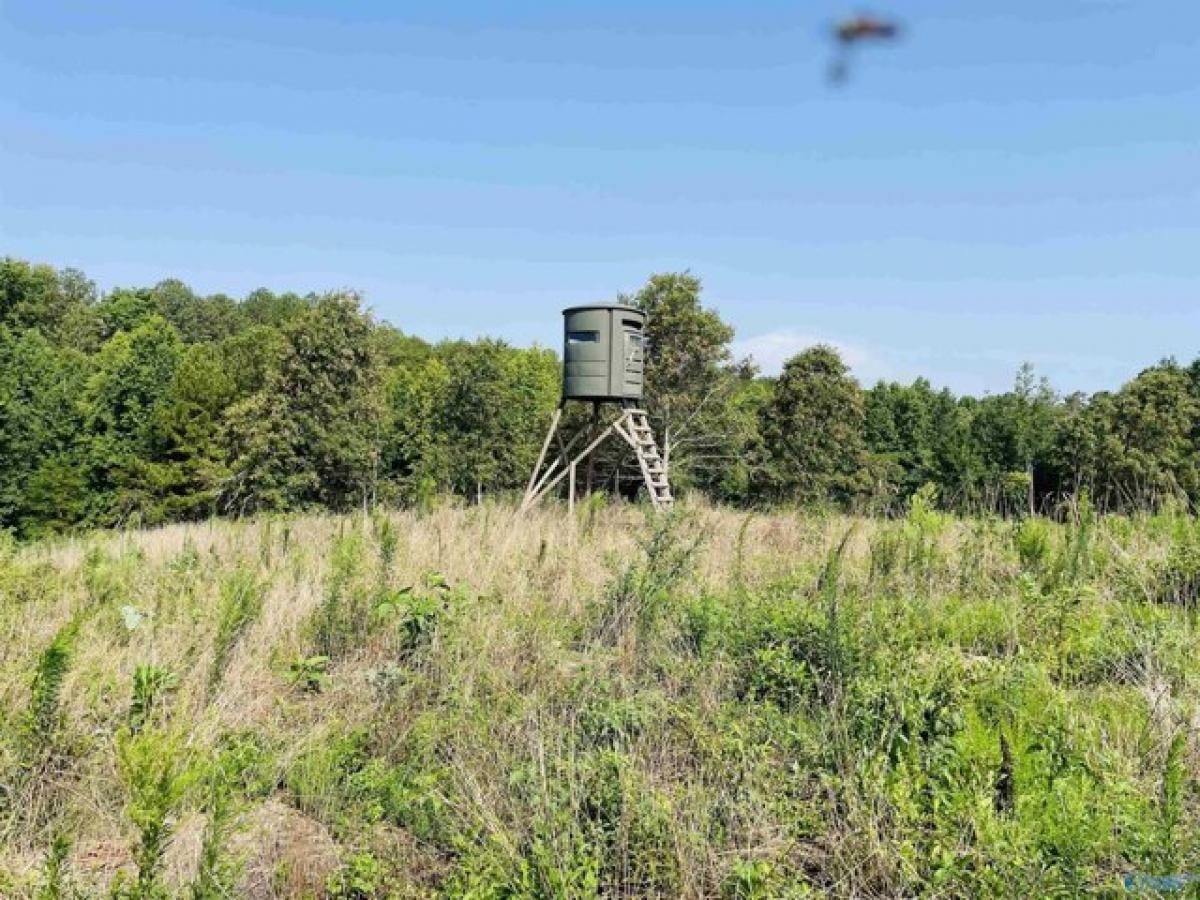 Picture of Residential Land For Sale in Flat Rock, Alabama, United States