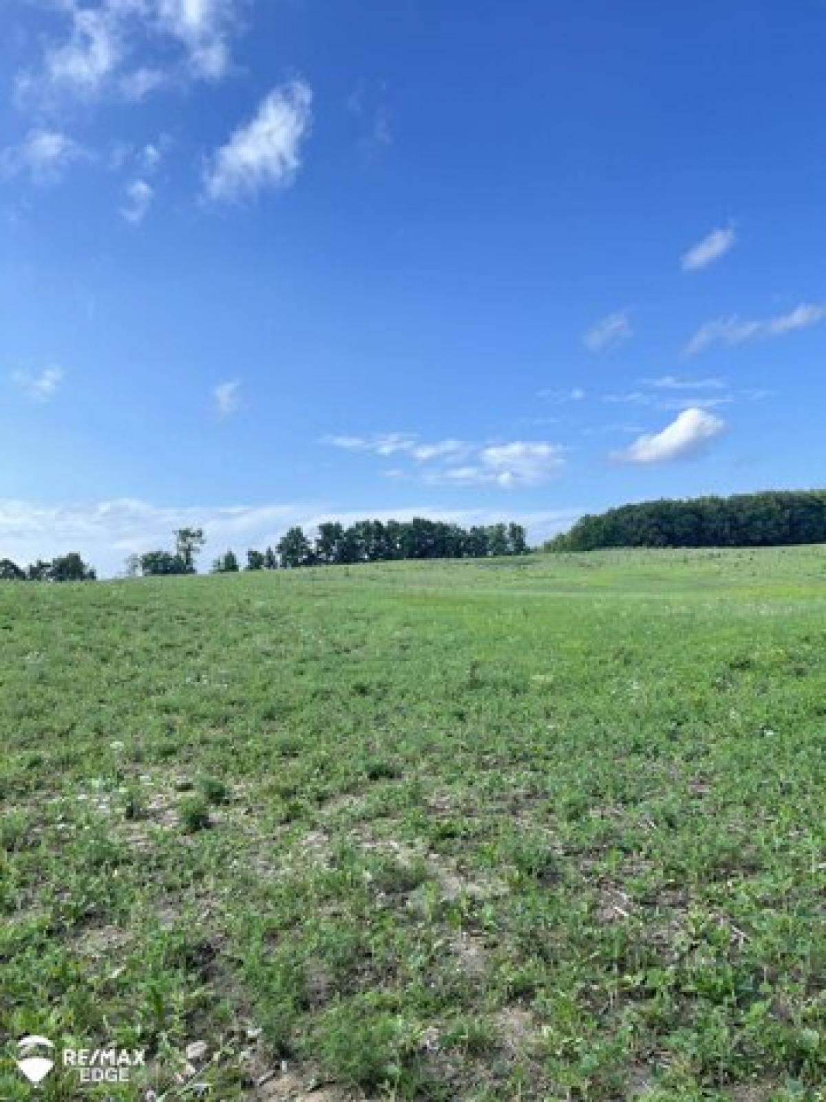 Picture of Residential Land For Sale in Millington, Michigan, United States