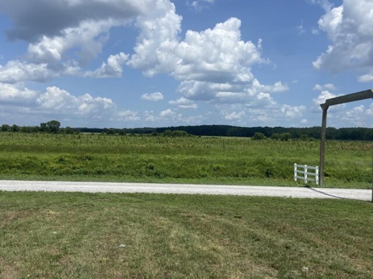 Picture of Residential Land For Sale in Clifton, Tennessee, United States