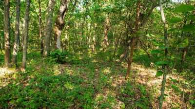 Residential Land For Sale in Bolivar, Missouri