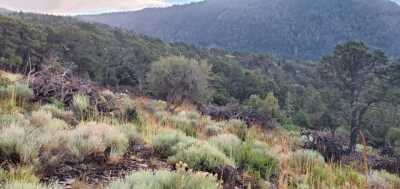 Residential Land For Sale in Cedar City, Utah