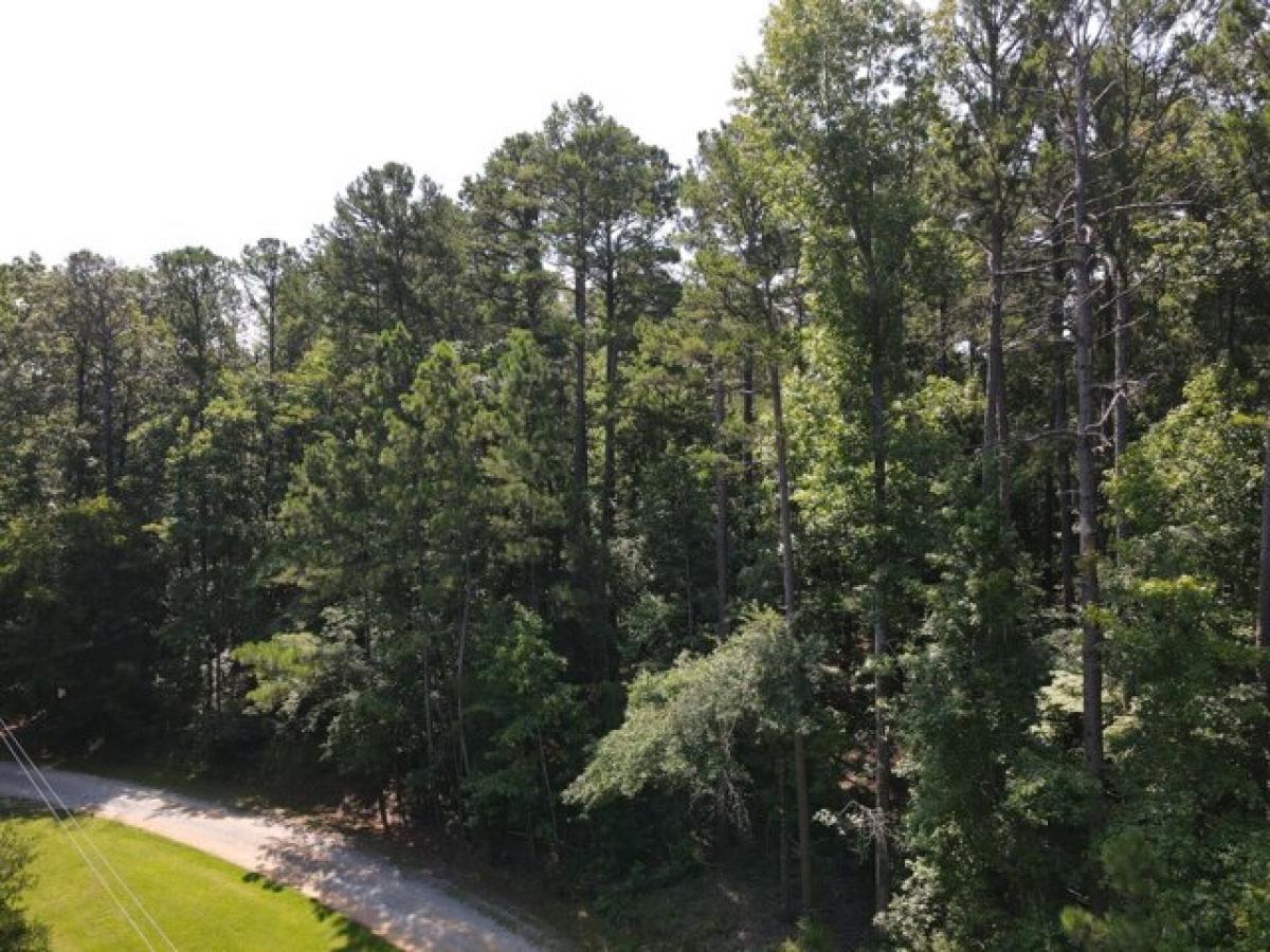 Picture of Residential Land For Sale in Lincolnton, Georgia, United States