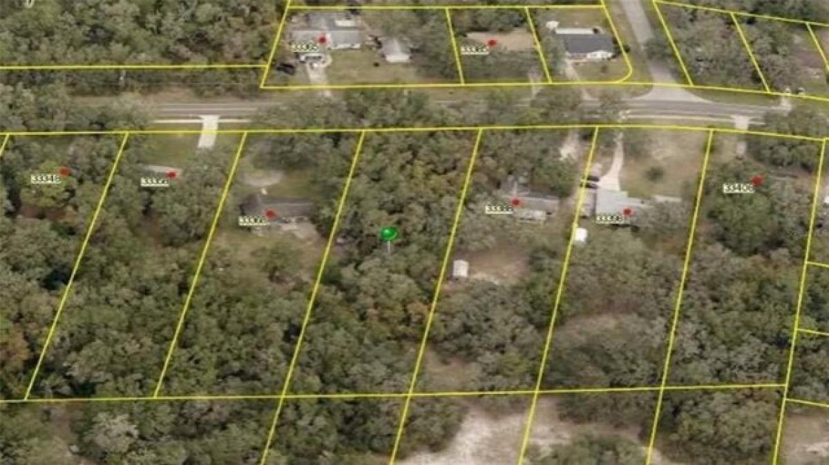 Picture of Residential Land For Sale in Dade City, Florida, United States