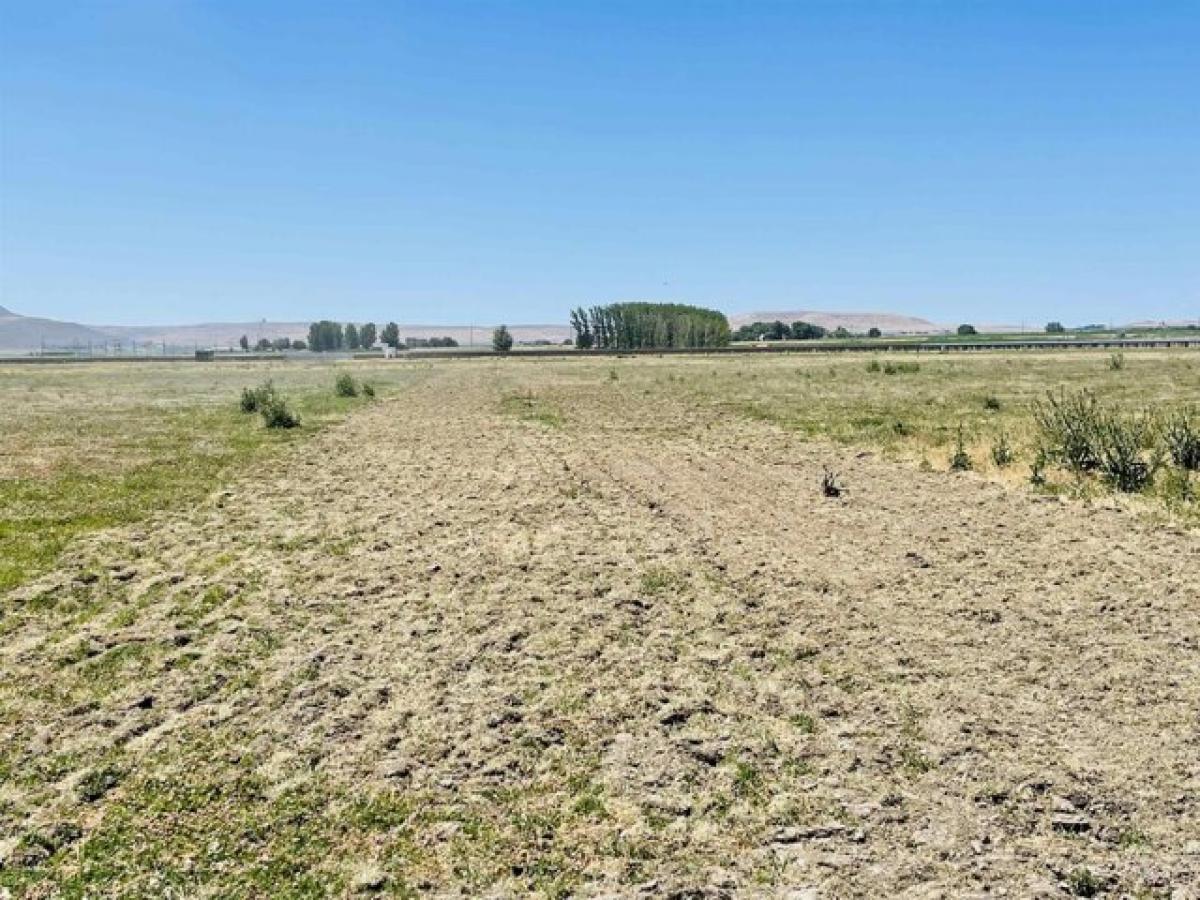 Picture of Residential Land For Sale in Nyssa, Oregon, United States