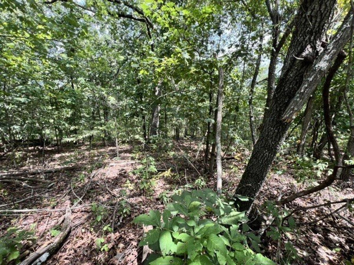 Picture of Residential Land For Rent in Bella Vista, Arkansas, United States