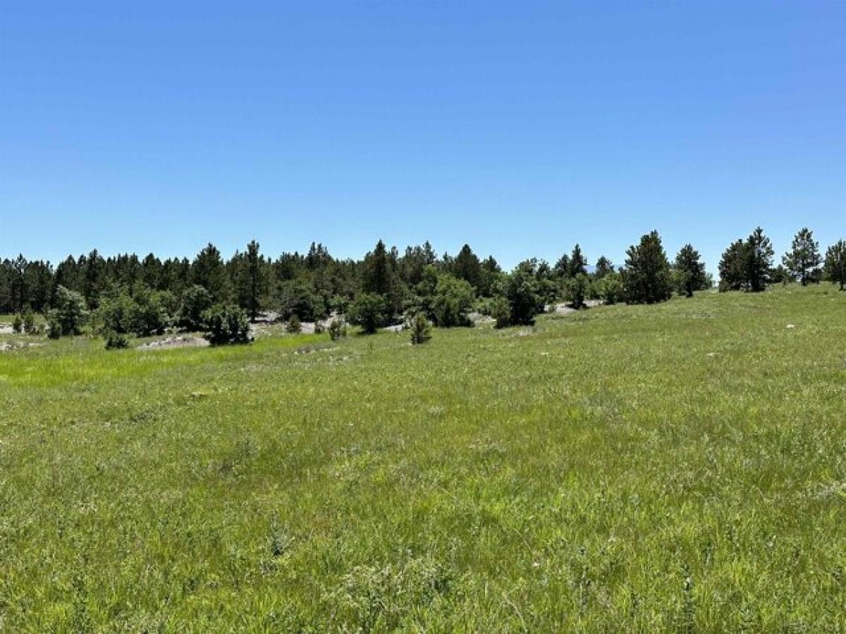 Picture of Residential Land For Sale in Sturgis, South Dakota, United States