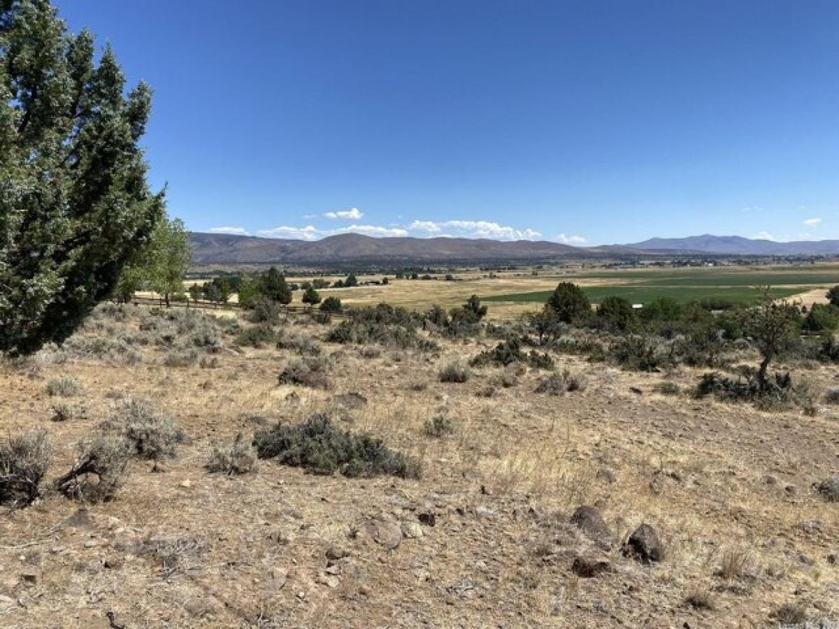 Picture of Residential Land For Sale in Susanville, California, United States