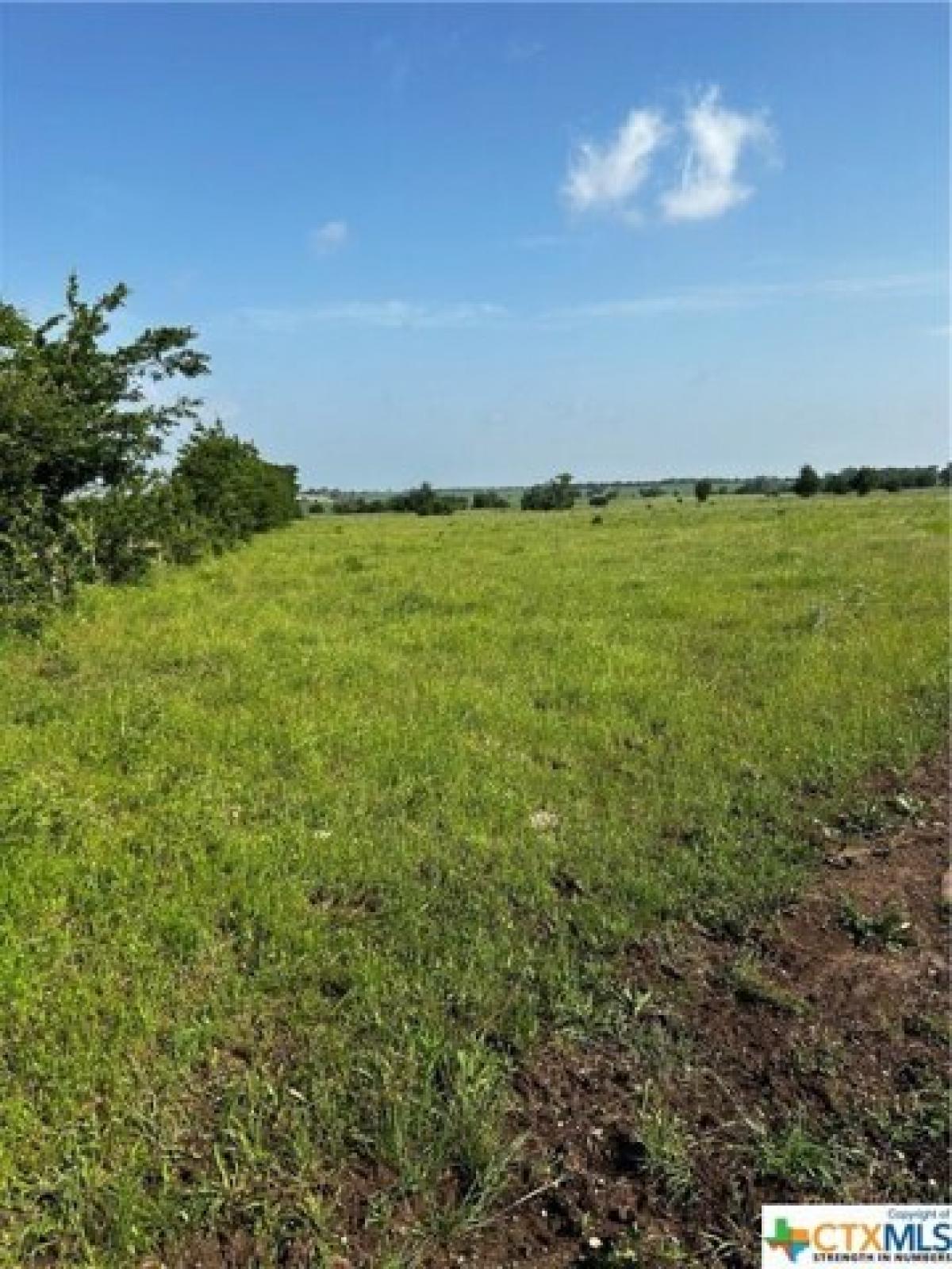 Picture of Residential Land For Sale in Gatesville, Texas, United States