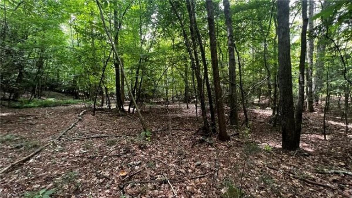 Picture of Residential Land For Sale in North Wilkesboro, North Carolina, United States