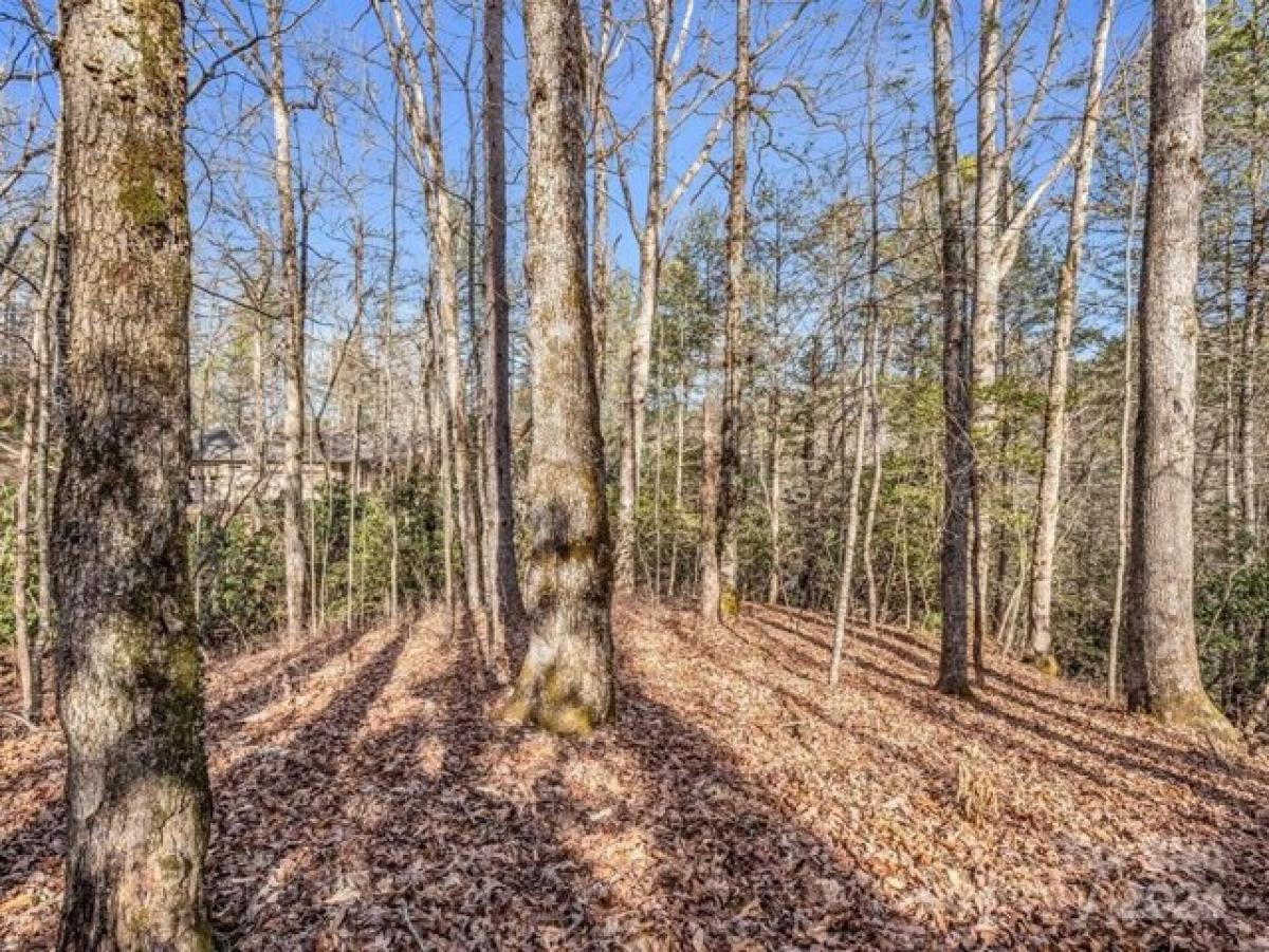 Picture of Residential Land For Sale in Brevard, North Carolina, United States