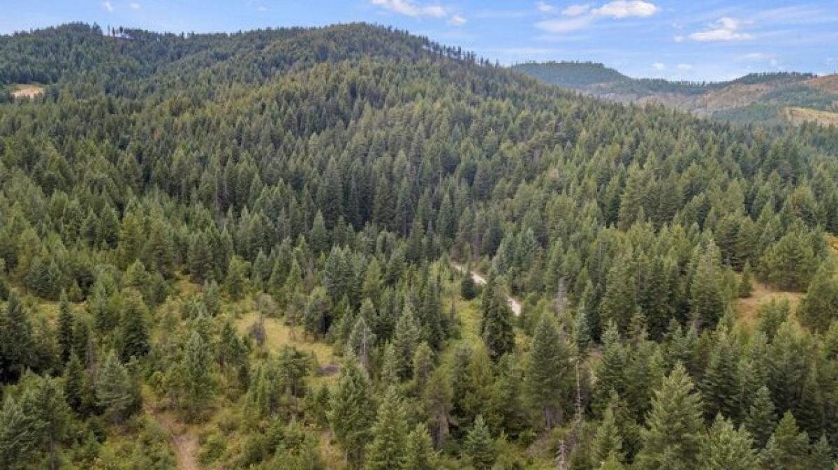 Picture of Residential Land For Sale in Valley, Washington, United States