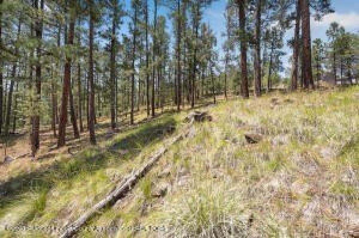 Picture of Residential Land For Sale in Ruidoso, New Mexico, United States