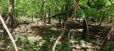 Residential Land For Sale in 