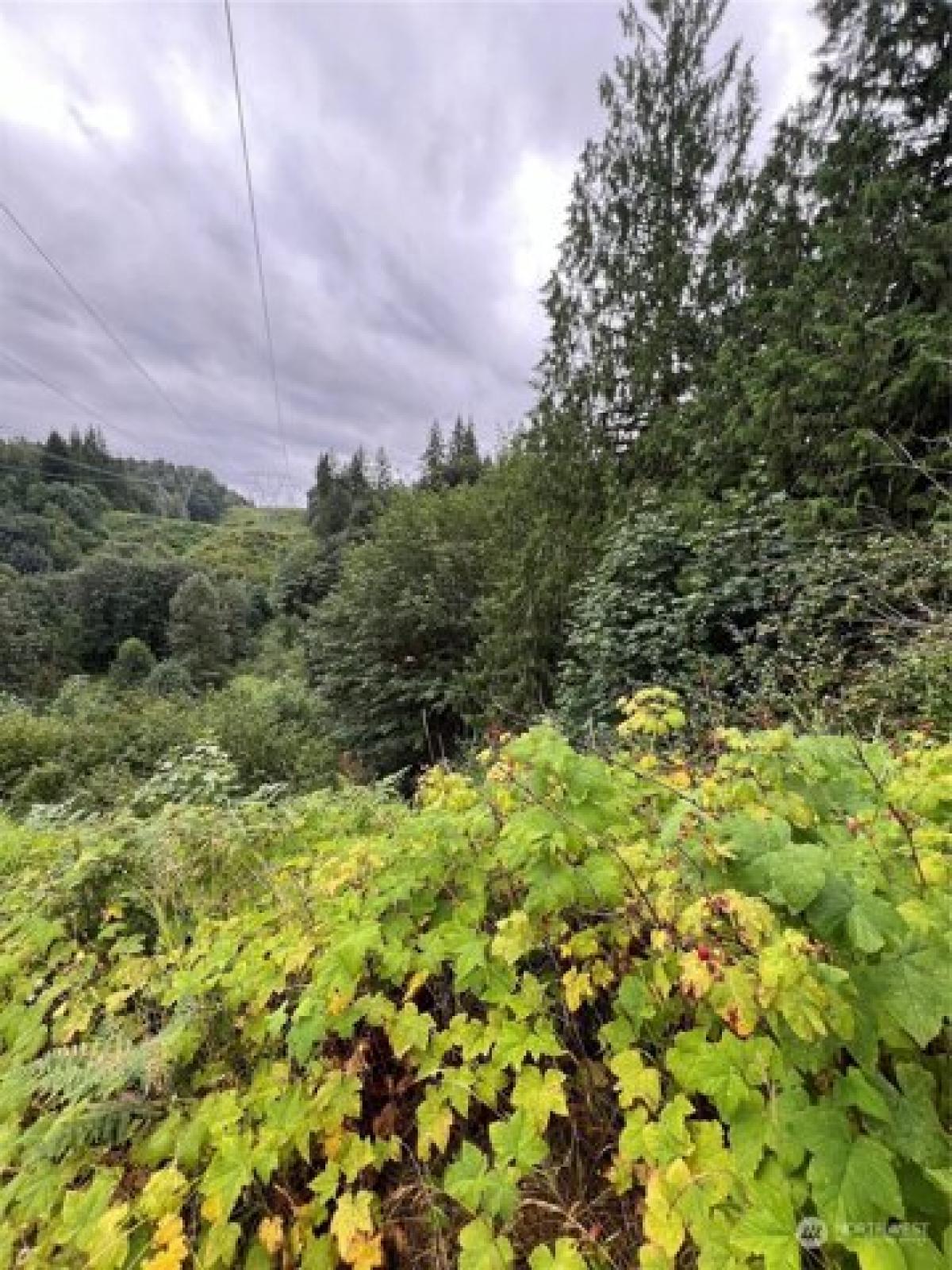 Picture of Residential Land For Sale in Duvall, Washington, United States