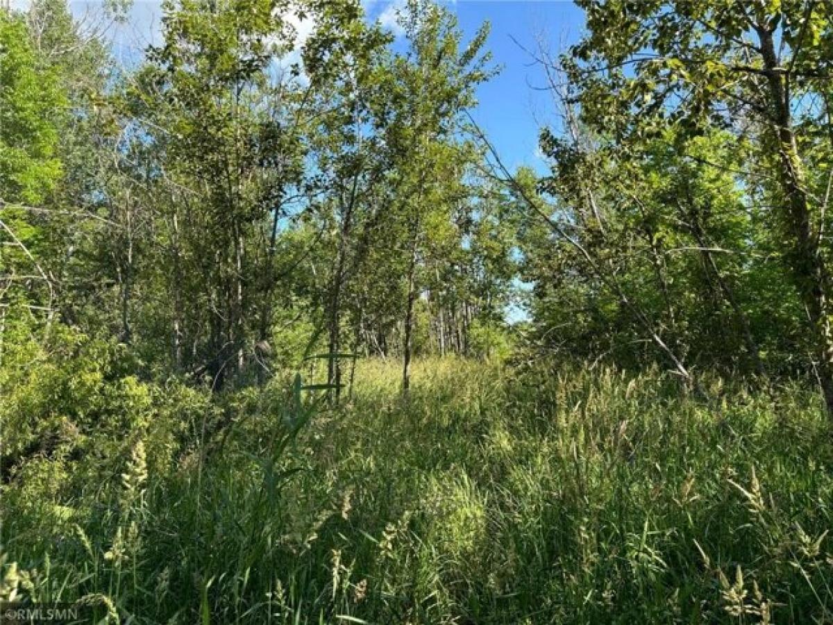 Picture of Residential Land For Sale in Aitkin, Minnesota, United States