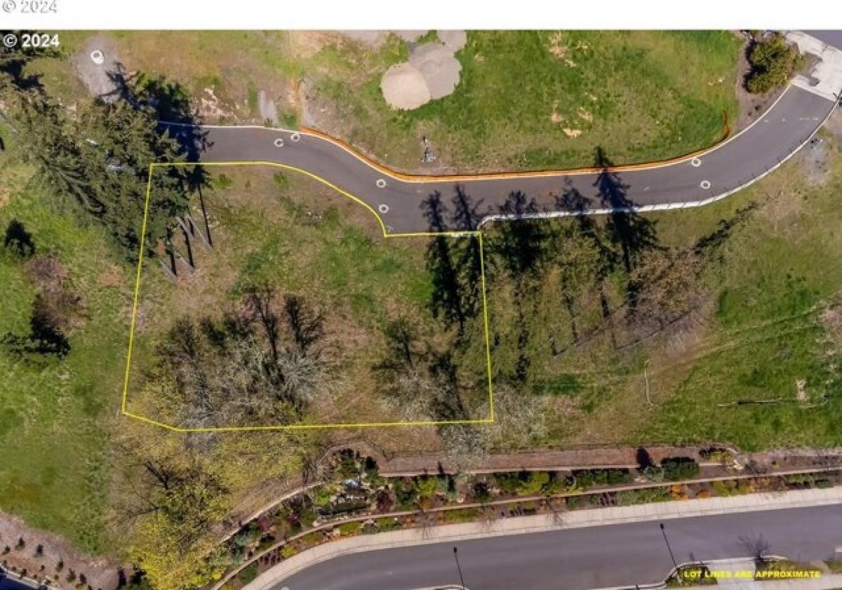 Picture of Residential Land For Sale in Eugene, Oregon, United States