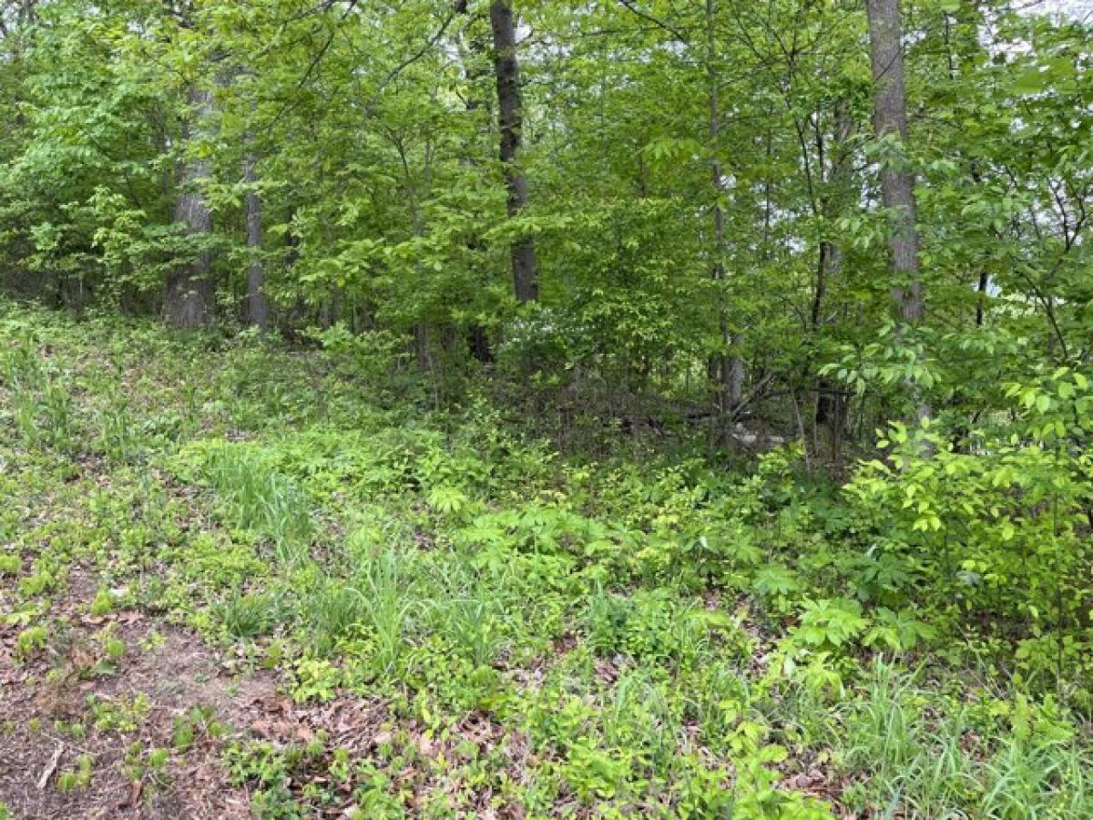 Picture of Residential Land For Sale in Kingsport, Tennessee, United States