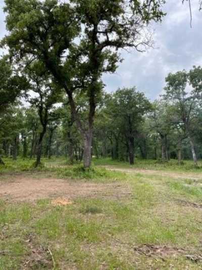 Residential Land For Sale in Chico, Texas