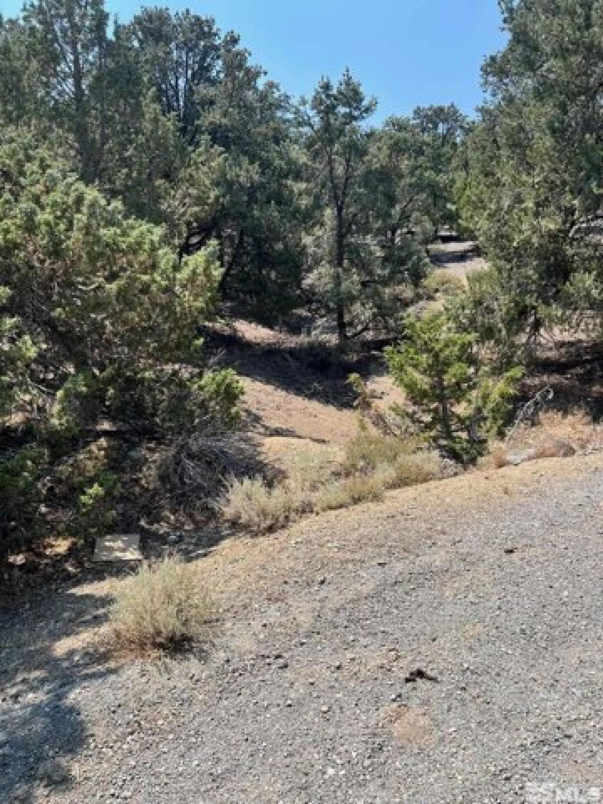 Picture of Residential Land For Sale in Virginia City, Nevada, United States