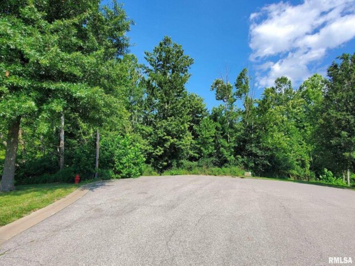 Picture of Residential Land For Sale in Carbondale, Illinois, United States