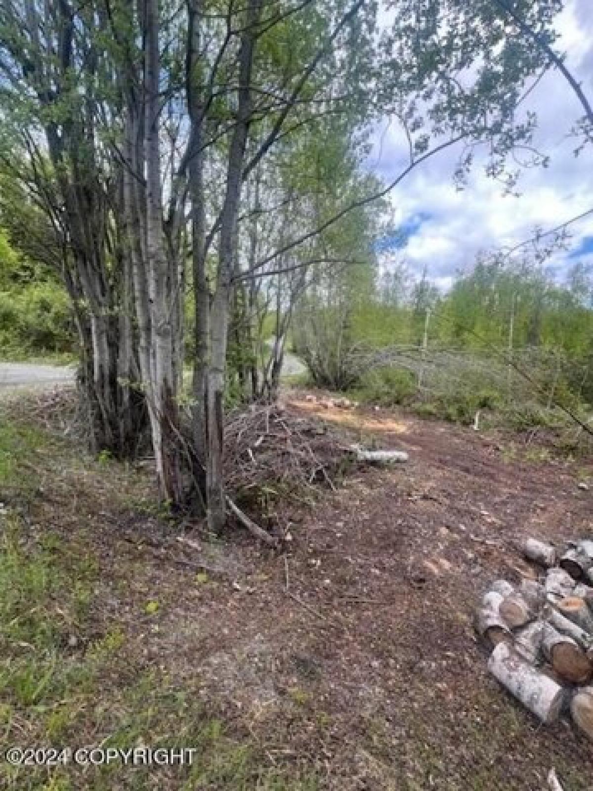 Picture of Residential Land For Sale in Big Lake, Alaska, United States