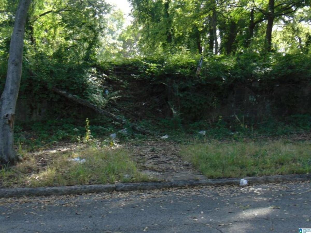 Picture of Residential Land For Sale in Birmingham, Alabama, United States