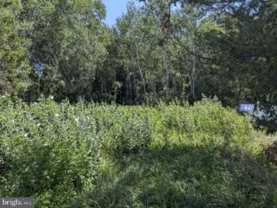 Residential Land For Sale in Woolford, Maryland