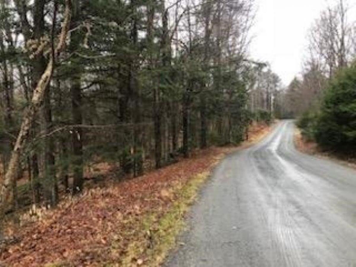 Picture of Residential Land For Sale in Grantham, New Hampshire, United States