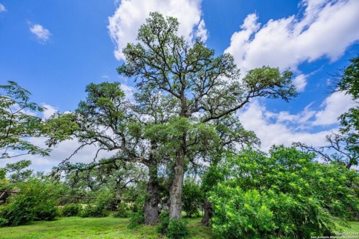 Picture of Home For Sale in Bandera, Texas, United States