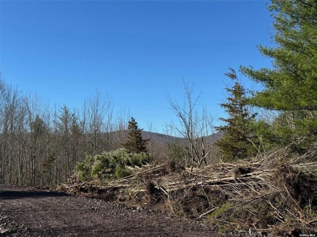 Picture of Residential Land For Sale in Jewett, New York, United States