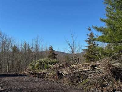 Residential Land For Sale in Jewett, New York